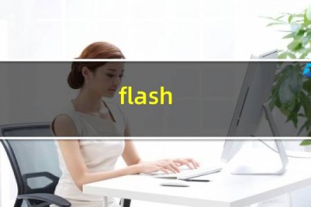 flash disk是什么意思