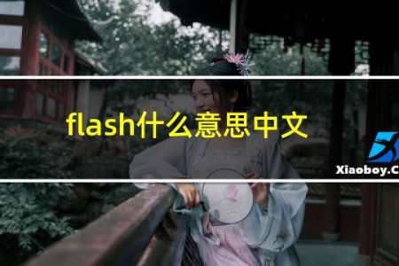 flash什么意思中文