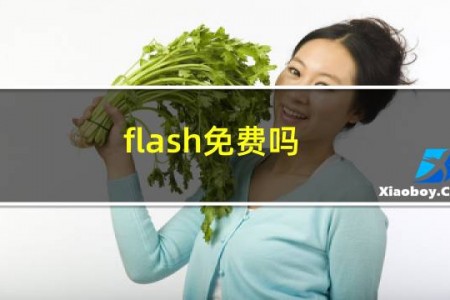 flash免费吗