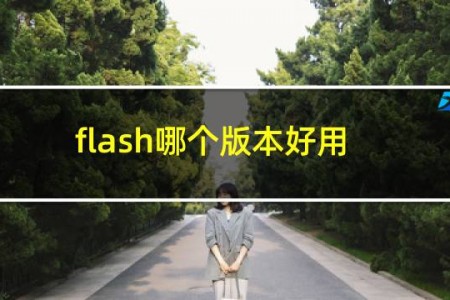 flash哪个版本好用