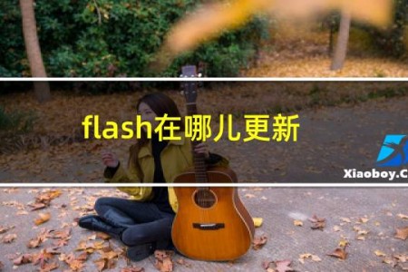 flash在哪儿更新