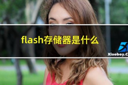 flash存储器是什么