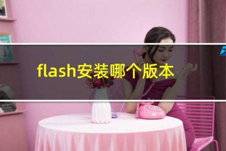 flash安装哪个版本