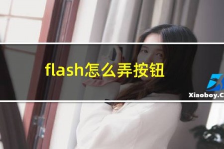 flash怎么弄按钮