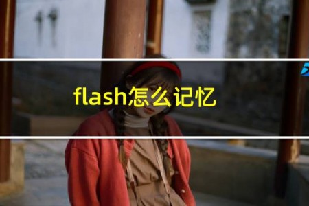 flash怎么记忆