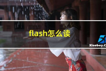 flash怎么读