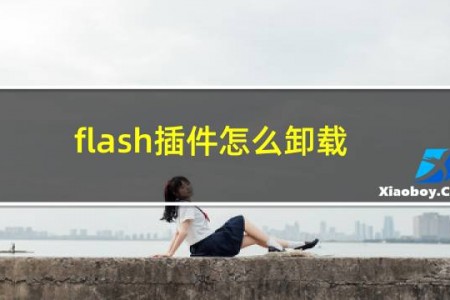 flash插件怎么卸载