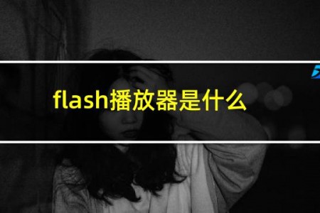 flash播放器是什么