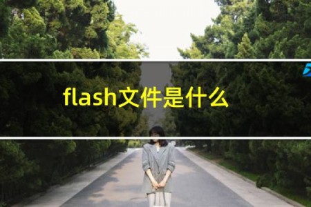 flash文件是什么