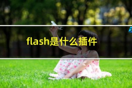 flash是什么插件