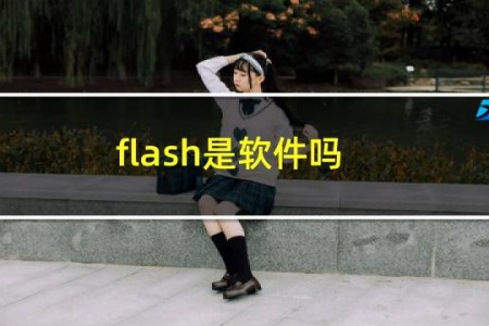 flash是软件吗