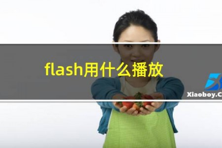 flash用什么播放