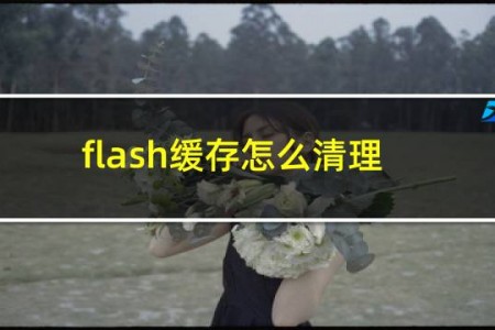 flash缓存怎么清理